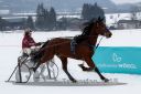 Dateiname=20170224_imp_009_R01_0026.jpg
Dateigröße=163KB
Abmessungen: 750x500
hinzugefügt am: 25. Februar 2018 20170224_imp_009_R01_0026.jpg