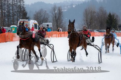 20170224_r01_036_R01_0129.jpg