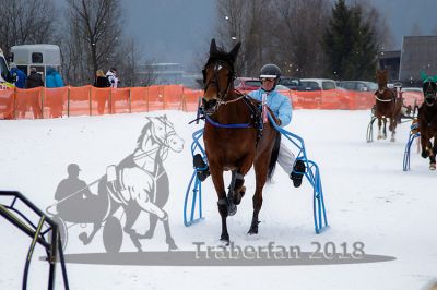 20170224_r01_037_R01_0130.jpg