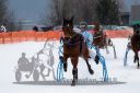 Dateiname=20170224_r01_049_R01_0155.jpg
Dateigröße=174KB
Abmessungen: 750x500
hinzugefügt am: 25. Februar 2018 20170224_r01_049_R01_0155.jpg
