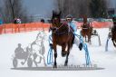 Dateiname=20170224_r01_050_R01_0157.jpg
Dateigröße=172KB
Abmessungen: 750x500
hinzugefügt am: 25. Februar 2018 20170224_r01_050_R01_0157.jpg