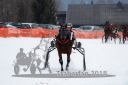 Dateiname=20170224_r01_055_R01_0168.jpg
Dateigröße=154KB
Abmessungen: 750x500
hinzugefügt am: 25. Februar 2018 20170224_r01_055_R01_0168.jpg