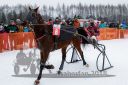 Dateiname=20170224_r01_080_R01_0216.jpg
Dateigröße=222KB
Abmessungen: 750x500
hinzugefügt am: 25. Februar 2018 20170224_r01_080_R01_0216.jpg
