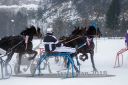 Dateiname=20180224_r02_024_R02_0051.jpg
Dateigröße=222KB
Abmessungen: 750x500
hinzugefügt am: 25. Februar 2018 20180224_r02_024_R02_0051.jpg