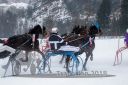 Dateiname=20180224_r02_025_R02_0052.jpg
Dateigröße=219KB
Abmessungen: 750x500
hinzugefügt am: 25. Februar 2018 20180224_r02_025_R02_0052.jpg