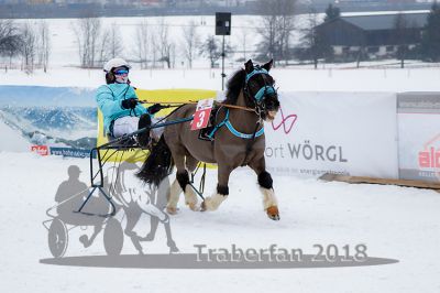 20180224_r03_023_R03_0044.jpg