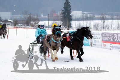 20180224_r03_052_R03_0082.jpg
