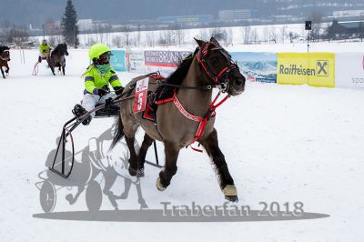 20180224_r03_061_R03_0093.jpg