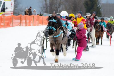 20180224_r03_087_R03_0141.jpg
