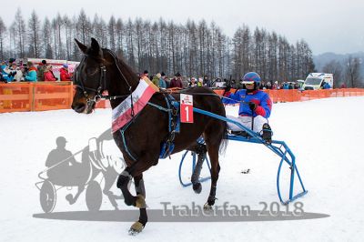 20180224_r04_099_R04_0187.jpg
