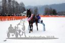Dateiname=20180224_r04_095_R04_0182.jpg
Dateigröße=183KB
Abmessungen: 750x500
hinzugefügt am: 25. Februar 2018 20180224_r04_095_R04_0182.jpg