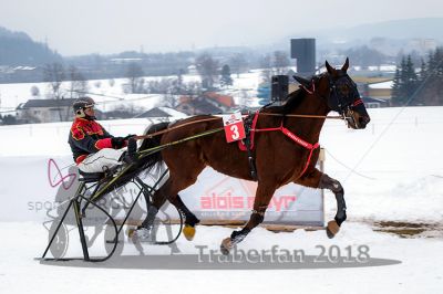 20180224_r05_073_R05_0141.jpg