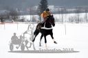 Dateiname=20180224_r06_032_R06_0052.jpg
Dateigröße=123KB
Abmessungen: 750x500
hinzugefügt am: 25. Februar 2018 20180224_r06_032_R06_0052.jpg