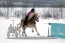 Dateiname=20180224_r06_044_R06_0069.jpg
Dateigröße=158KB
Abmessungen: 750x500
hinzugefügt am: 25. Februar 2018 20180224_r06_044_R06_0069.jpg