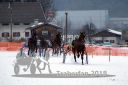 Dateiname=20180224_r07_075_R07_0150.jpg
Dateigröße=196KB
Abmessungen: 750x500
hinzugefügt am: 25. Februar 2018 20180224_r07_075_R07_0150.jpg