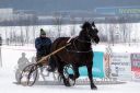 Dateiname=20180224_r09_028_R09_0055.jpg
Dateigröße=182KB
Abmessungen: 750x500
hinzugefügt am: 25. Februar 2018 20180224_r09_028_R09_0055.jpg