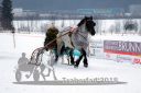 Dateiname=20180224_r09_045_R09_0082.jpg
Dateigröße=183KB
Abmessungen: 750x500
hinzugefügt am: 25. Februar 2018 20180224_r09_045_R09_0082.jpg
