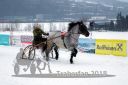 Dateiname=20180224_r09_049_R09_0087.jpg
Dateigröße=186KB
Abmessungen: 750x500
hinzugefügt am: 25. Februar 2018 20180224_r09_049_R09_0087.jpg