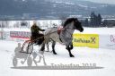 Dateiname=20180224_r09_051_R09_0089.jpg
Dateigröße=186KB
Abmessungen: 750x500
hinzugefügt am: 25. Februar 2018 20180224_r09_051_R09_0089.jpg