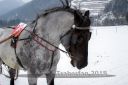 Dateiname=20180224_r09_068_R09_0121.jpg
Dateigröße=180KB
Abmessungen: 750x500
hinzugefügt am: 25. Februar 2018 20180224_r09_068_R09_0121.jpg