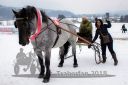Dateiname=20180224_r09_074_R09_0137.jpg
Dateigröße=187KB
Abmessungen: 750x500
hinzugefügt am: 25. Februar 2018 20180224_r09_074_R09_0137.jpg
