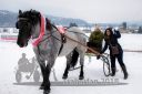 Dateiname=20180224_r09_079_R09_0146.jpg
Dateigröße=176KB
Abmessungen: 750x500
hinzugefügt am: 25. Februar 2018 20180224_r09_079_R09_0146.jpg