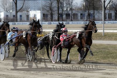 20180311_r01_043_QU2_0163.jpg