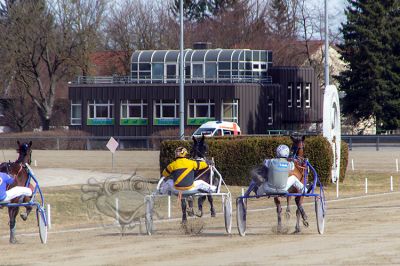 20180311_101Canon_025_IMG_0085.jpg