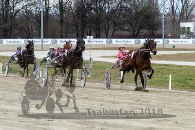 20180401_r02_045_R02_0095.jpg