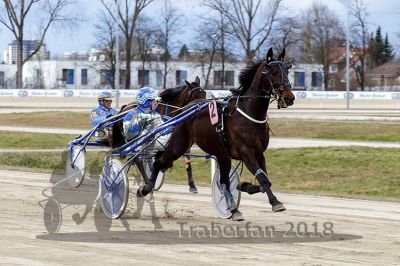 20180401_r03_005_R03_0001.jpg