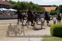 Dateiname=20180521_r01_084_R01_0152.jpg
Dateigröße=484KB
Abmessungen: 750x500
hinzugefügt am: 24. Mai 2018 20180521_r01_084_R01_0152.jpg