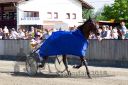 Dateiname=20180521_r06_115_R06_0081.jpg
Dateigröße=434KB
Abmessungen: 750x500
hinzugefügt am: 24. Mai 2018 20180521_r06_115_R06_0081.jpg