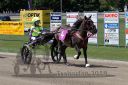 20180521_mt_039_PQW_0088.jpg