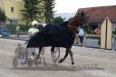Dateiname=20180609_r05_114_R05_0331.jpg
Dateigröße=402KB
Abmessungen: 750x500
hinzugefügt am: 22. Juni 2018 20180609_r05_114_R05_0331.jpg