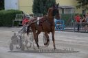 Dateiname=20180609_r08_004_R08_0012.jpg
Dateigröße=397KB
Abmessungen: 750x500
hinzugefügt am: 22. Juni 2018 20180609_r08_004_R08_0012.jpg
