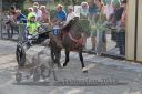 Dateiname=20180609_mt_173_MT__0315.jpg
Dateigröße=429KB
Abmessungen: 750x500
hinzugefügt am: 22. Juni 2018 20180609_mt_173_MT__0315.jpg
