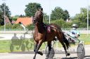 Dateiname=20180701_r08_012_R08_0037.jpg
Dateigröße=153KB
Abmessungen: 750x500
hinzugefügt am: 02. Juli 2018 20180701_r08_012_R08_0037.jpg
