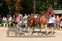 Dateiname=20180815_r07_088_R07_0031.jpg
Dateigröße=209KB
Abmessungen: 750x500
hinzugefügt am: 16. August 2018 20180815_r07_088_R07_0031.jpg
