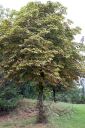 Dateiname=101CANON_IMG_0038.jpg
Dateigröße=193KB
Abmessungen: 500x750
hinzugefügt am: 03. September 2018 101CANON_IMG_0038.jpg