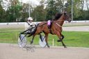 Dateiname=102CANON_IMG_0086.jpg
Dateigröße=113KB
Abmessungen: 750x500
hinzugefügt am: 03. September 2018 102CANON_IMG_0086.jpg