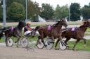 Dateiname=102CANON_IMG_0147.jpg
Dateigröße=116KB
Abmessungen: 750x500
hinzugefügt am: 03. September 2018 102CANON_IMG_0147.jpg