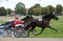 Dateiname=103CANON_IMG_0086.jpg
Dateigröße=110KB
Abmessungen: 750x500
hinzugefügt am: 03. September 2018 103CANON_IMG_0086.jpg