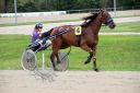 Dateiname=106CANON_IMG_0032.jpg
Dateigröße=100KB
Abmessungen: 750x500
hinzugefügt am: 03. September 2018 106CANON_IMG_0032.jpg