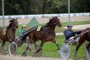 Dateiname=106CANON_IMG_0047.jpg
Dateigröße=114KB
Abmessungen: 750x500
hinzugefügt am: 03. September 2018 106CANON_IMG_0047.jpg
