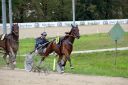 Dateiname=106CANON_IMG_0072.jpg
Dateigröße=119KB
Abmessungen: 750x500
hinzugefügt am: 03. September 2018 106CANON_IMG_0072.jpg