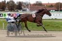 Dateiname=20181007_pqw2_042_QU1_0132.jpg
Dateigröße=360KB
Abmessungen: 750x500
hinzugefügt am: 09. Oktober 2018 20181007_pqw2_042_QU1_0132.jpg