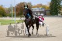 Dateiname=20181007_r01_105_R01_0015.jpg
Dateigröße=381KB
Abmessungen: 750x500
hinzugefügt am: 09. Oktober 2018 20181007_r01_105_R01_0015.jpg