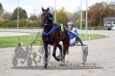 Dateiname=20181007_r05_217_R06_0032.jpg
Dateigröße=398KB
Abmessungen: 750x500
hinzugefügt am: 10. Oktober 2018 20181007_r05_217_R06_0032.jpg