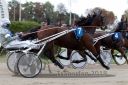 Dateiname=20181007_r09_056_R09_0118.jpg
Dateigröße=379KB
Abmessungen: 750x500
hinzugefügt am: 10. Oktober 2018 20181007_r09_056_R09_0118.jpg