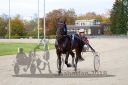 Dateiname=20181007_r09_111_R09_0035.jpg
Dateigröße=397KB
Abmessungen: 750x500
hinzugefügt am: 10. Oktober 2018 20181007_r09_111_R09_0035.jpg